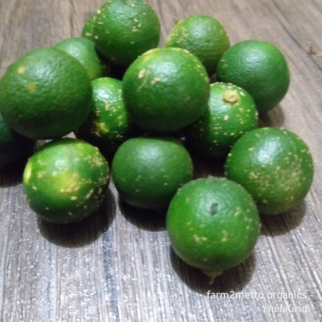 Organic Calamansi (order price/250grams) - Farm2Metro