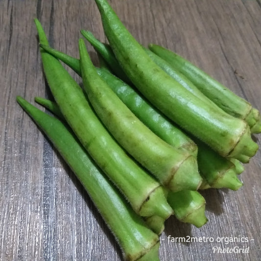 Fresh Organic Okra (order price/500grams) - Farm2Metro