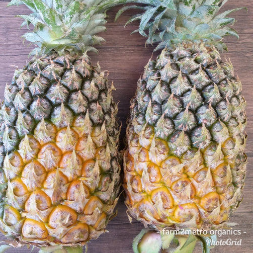 Natural Organic Pineapple (order price/piece -Extra Large size) - Farm2Metro