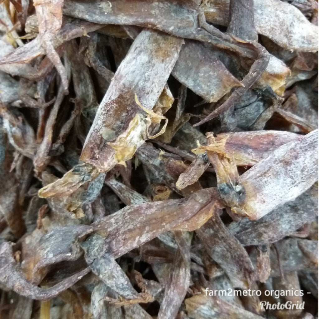 Dried Squid (Pusit Haba) order price / 50 grams - Farm2Metro