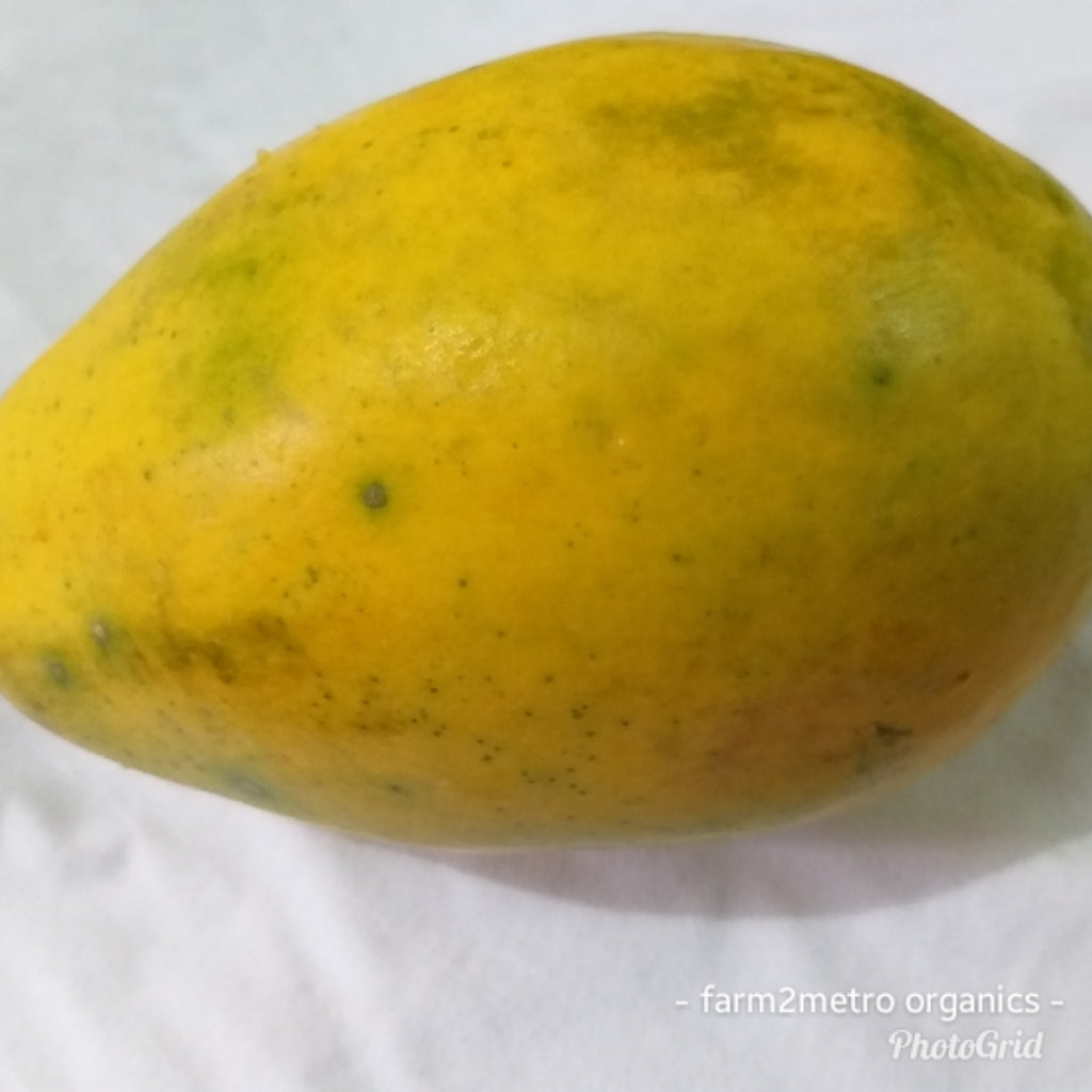 Organic Solo Ripe Papaya (order price/piece) - Farm2Metro
