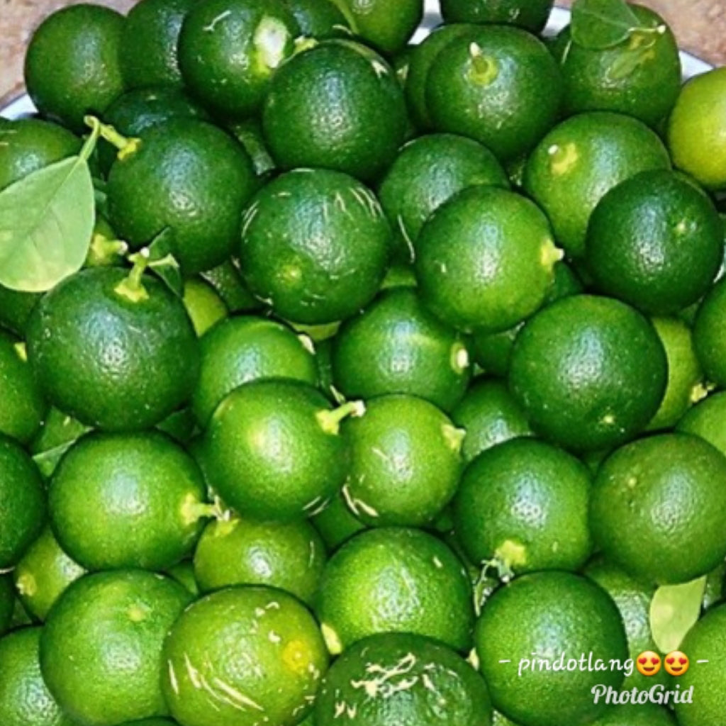 Organic Calamansi (order price/250grams) - Farm2Metro