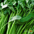 Fresh Natural Water Spinach (Kangkong) (order price/per 250grams) - Farm2Metro