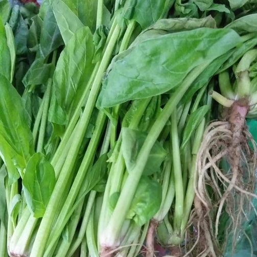 Fresh Organic Polonchay - order price / 250 grams - Farm2Metro