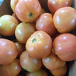 Fresh Local Organic Salad Tomato - 訂貨價 / 500 克