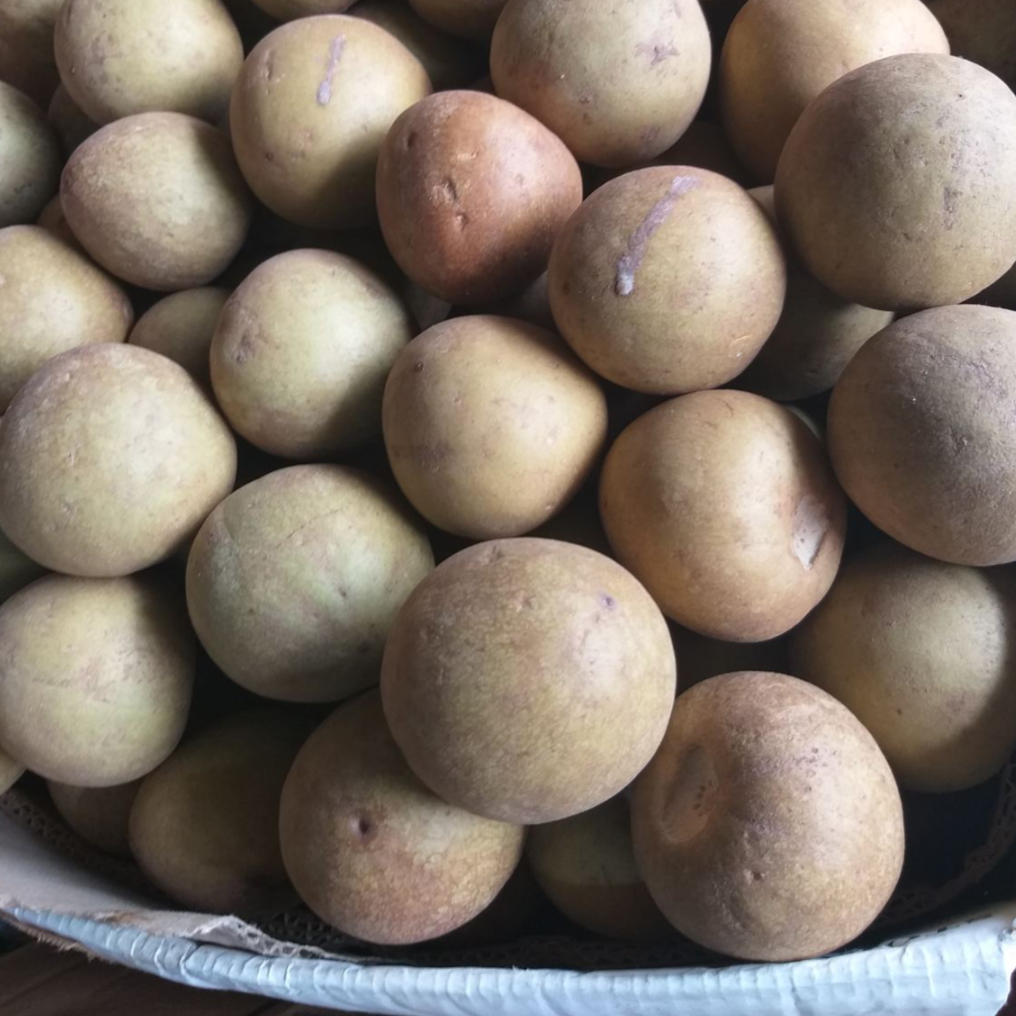 ローカル チコ ピネラス - 注文価格 / キロ