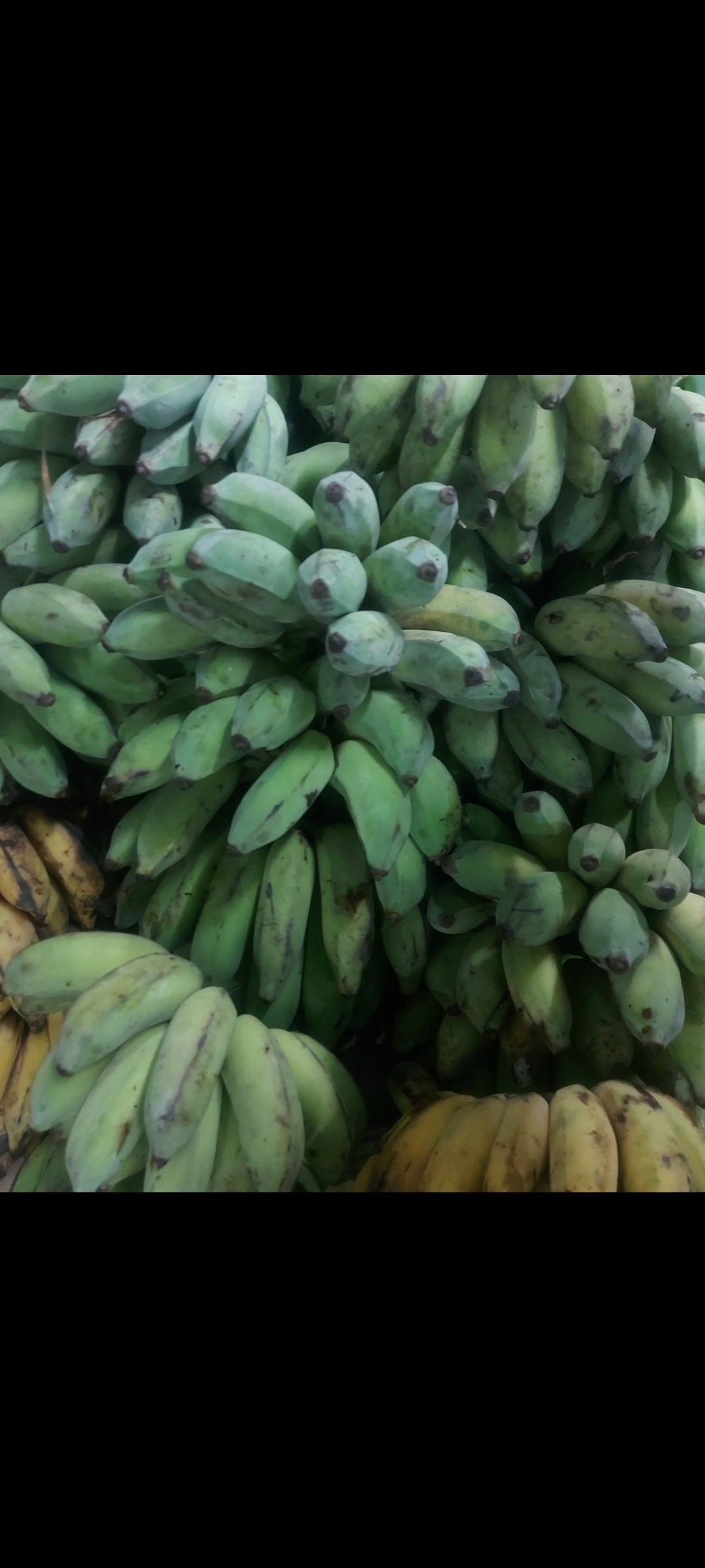 Fresh Cariñosa|Arnibal Banana - order price / kilo