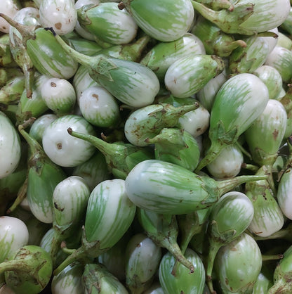 Native Organic Eggplant [Talong Bilog] - order price / 250 grams