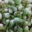 Native Organic Eggplant [Talong Bilog] - order price / kilo