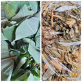 Local Organic Taro (Gabi) Leaves - order price / 250grams - Farm2Metro