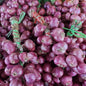 Organic Shallots - order price / 500 grams