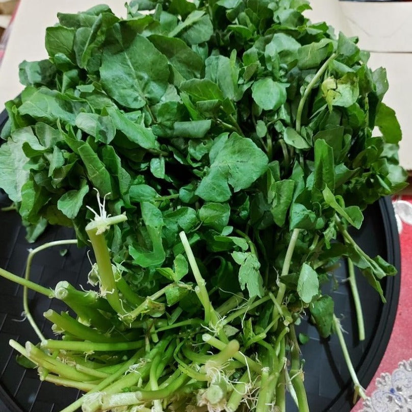 Fresh Organic Watercress | watercres - order price / approx 750g - 1kg