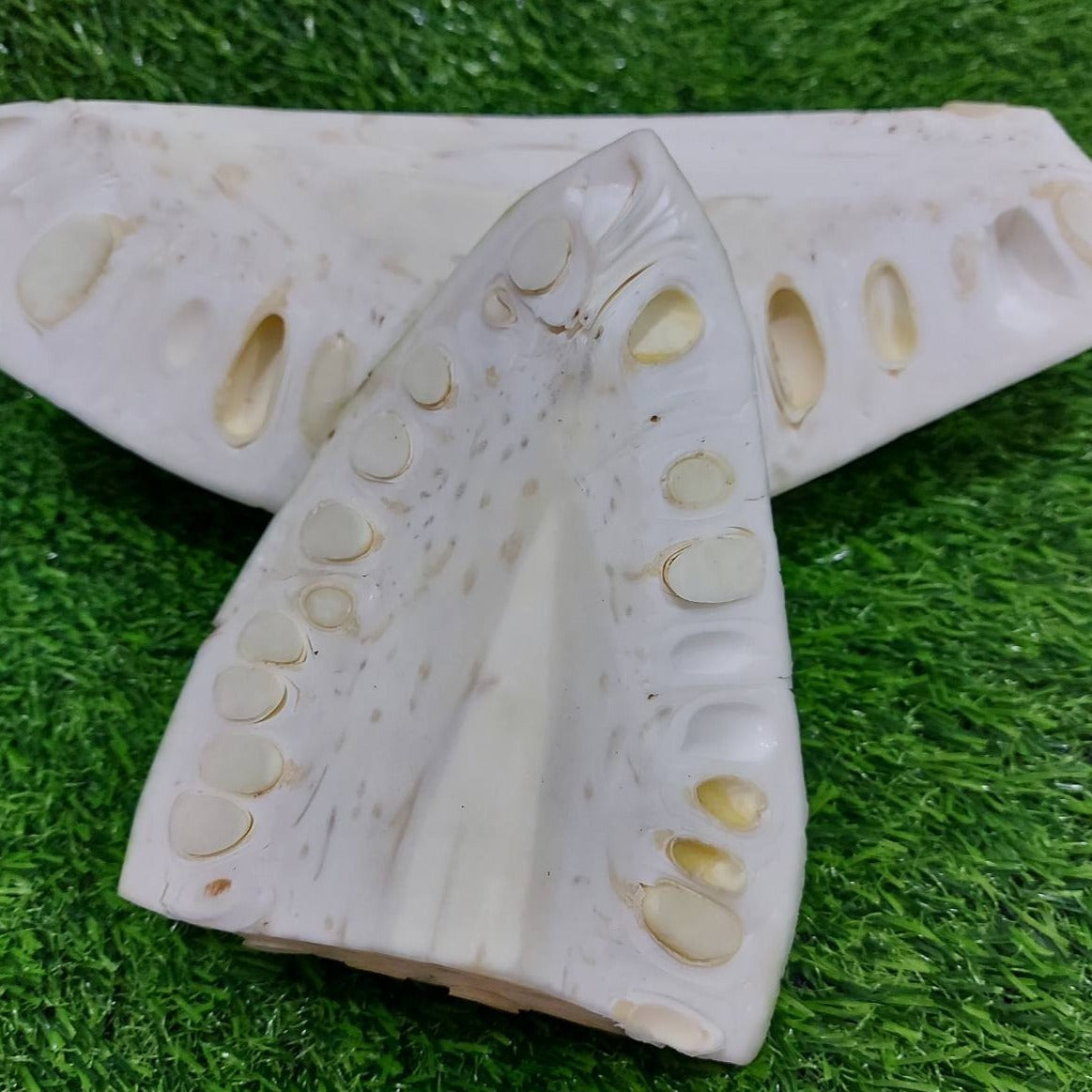 生ジャックフルーツ UNSLICED [Langka Gulay] - 注文価格 / キロ