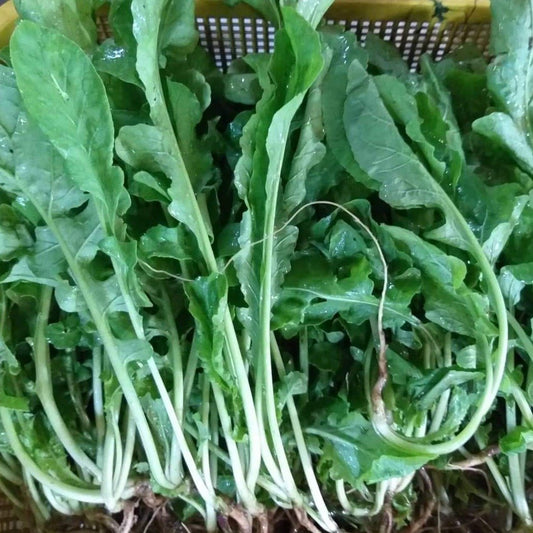 Fresh Organic Arugula - order price / 250 grams - Farm2Metro