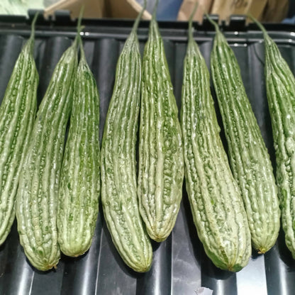Local Organic Ampalaya [Bitter Gourd] - order price / 500 grams (2-3 pcs.)