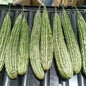 Local Organic Ampalaya [Bitter Gourd] - order price / 500 grams (2-3 pcs.)