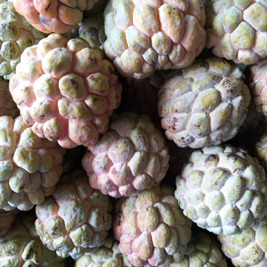 Fresh Native Sugar Apple (Atis) - order price / kilo - Farm2Metro