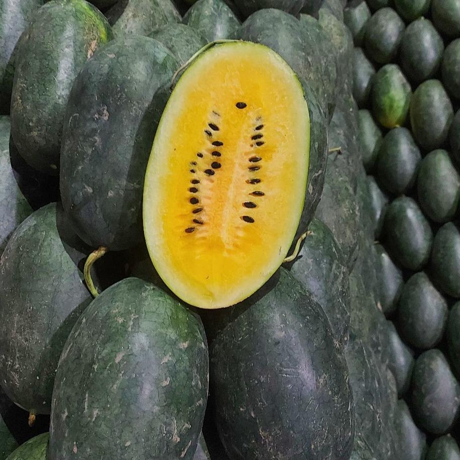 Fresh Yellow Watermelon | 2kls. Min. Wt. per piece - order price / kilo
