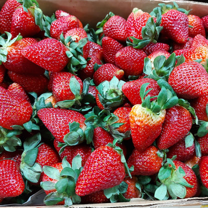 Fresh Local Strawberry - order price / kilo