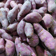 Local Organic VIOLET Sweet Potato [Camote | Kamote]- order price / kilo