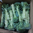 Local Organic Broccoli | Brocolli  - order price / kilo