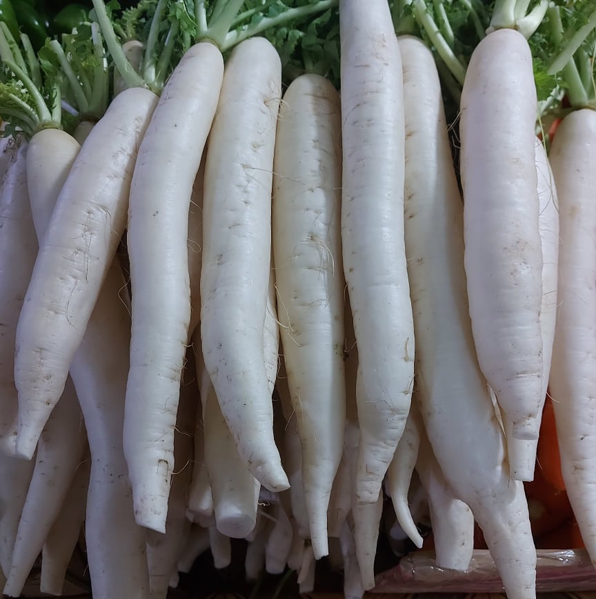 Local Organic Radish | Raddish [Labanos] - order price / 500 grams