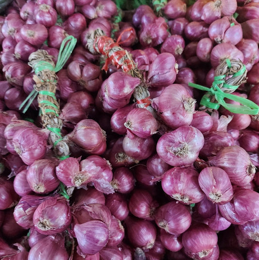 Fresh Organic Shallots - order price / kilo