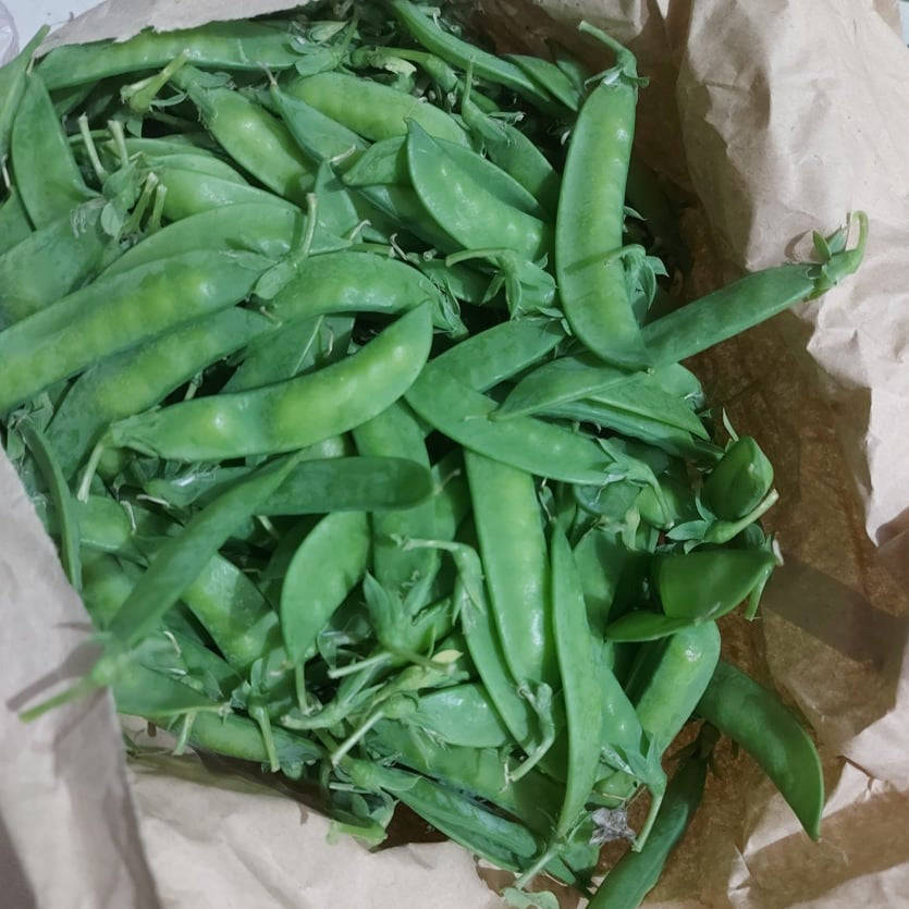 Fresh Sweet | Snow Peas [Chicharo] - order price / 250 grams