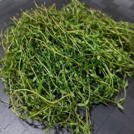 Fresh Local Organic Thyme - order price / 25 grams