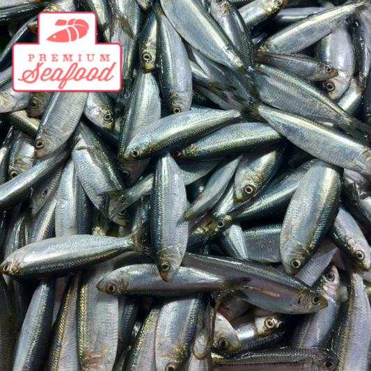 Fresh Herring [Tawilis] - order price / 500 grams