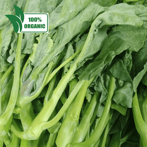 Fresh Organic Kale Kaylan (Chinese Broccoli) - order price / 250 grams - Farm2Metro