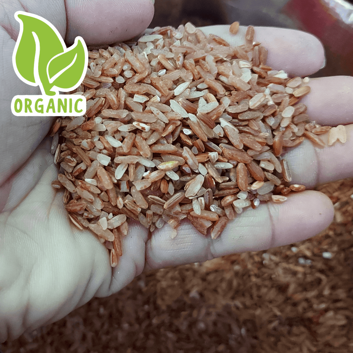 Red Rice Nft Organic Red Rice from the North - order price / 5 kilos – Farm2Metro
