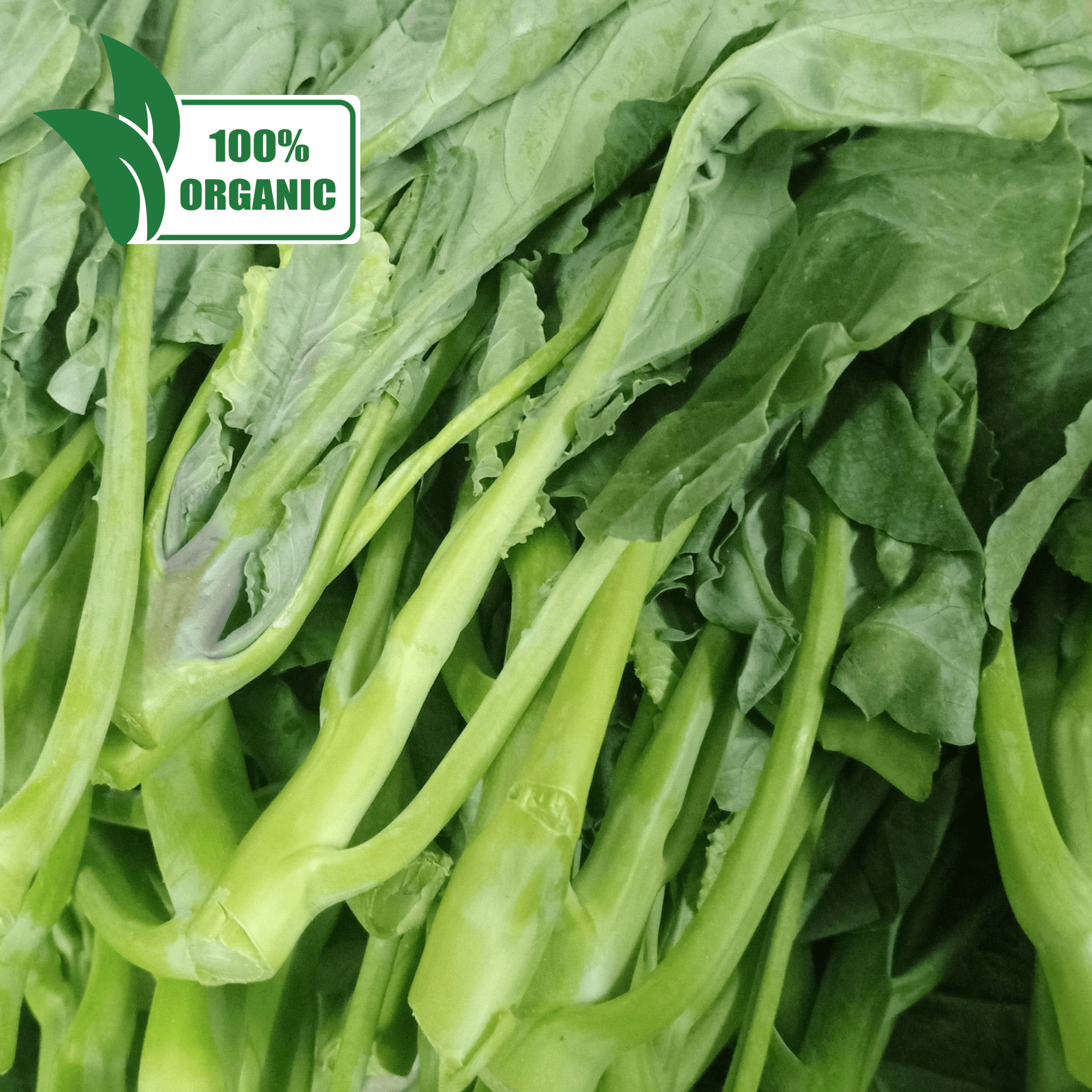 Fresh Organic Kale Kaylan (Chinese Broccoli) - order price / 250 grams - Farm2Metro