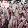 Fresh Squid [Pusit Tunay] small/med size  - order price / kilo