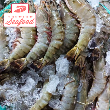 Fresh Tiger Prawns [Sugpo] - order price / kilo