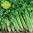 Fresh Local Organic "Pascal" variety Celery - order price / 250 grams
