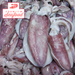 新鮮魷魚 [Pusit Tunay] 大號 [3-4pcs] - 訂貨價 / 500 克
