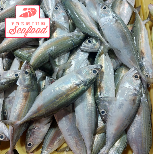 Fresh Striped Mackerel [Alumahan] - order price / 500 grams