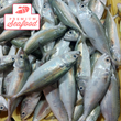 新鮮條紋鯖魚 [Alumahan] - 訂購價格 / 500 克