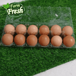 Naturally Farmed Brown Eggs Medium size - order price / dozen