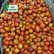 新鮮なローカル オーガニック チェリー トマト - 注文価格 / 500 グラム