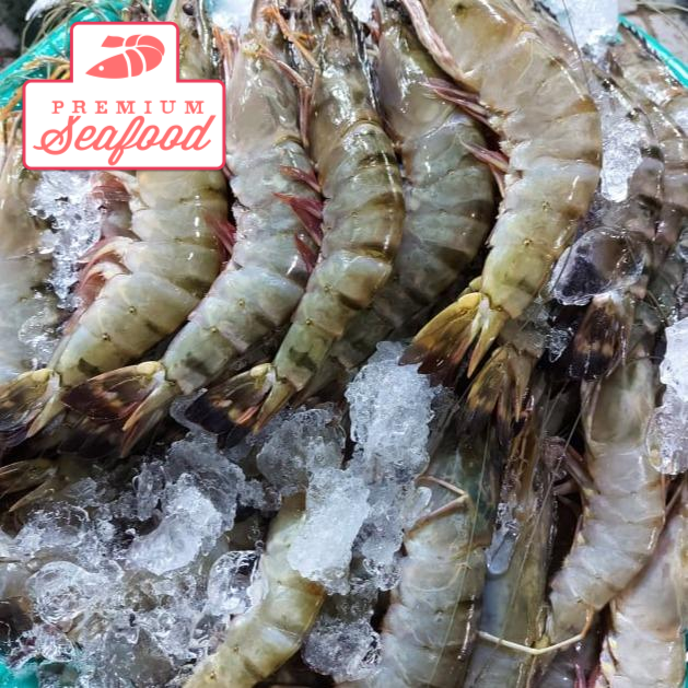 Fresh Tiger Prawns [Sugpo] - order price / 500 grams