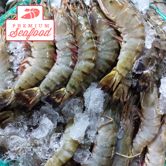 Fresh Tiger Prawns [Sugpo] - order price / 500 grams