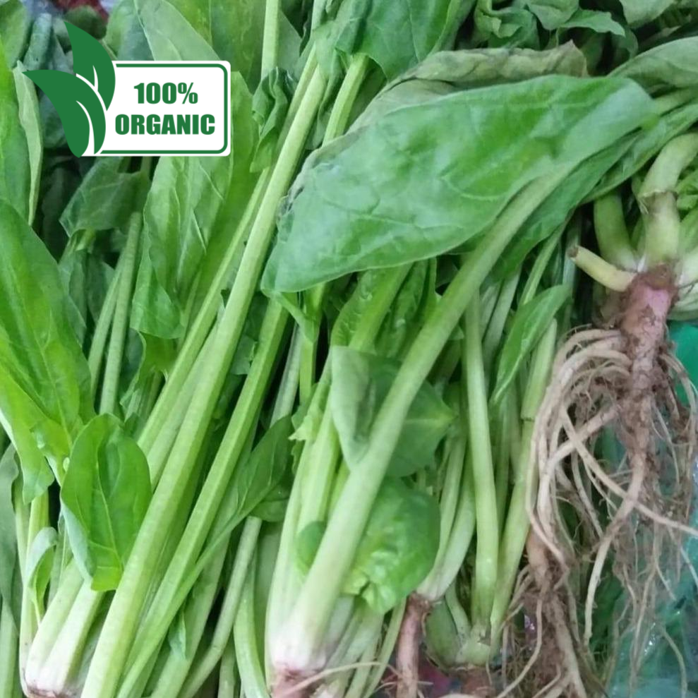 Fresh Organic Polonchay - order price / 250 grams - Farm2Metro