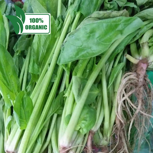 Fresh Organic Polonchay - order price / 250 grams - Farm2Metro