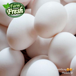 Fresh White Eggs (order price/per tray) - Farm2Metro