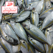 Fresh Local Yellow-striped Scad [Salay Salay] - order price / 500 grams