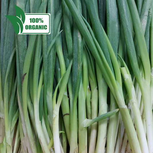 Fresh Local Onion Leeks | Scallions - order price / 250 grams