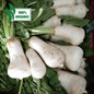Local Organic Bell Shaped Korean Radish | Raddish (depend on product availability)- order price / 500 grams