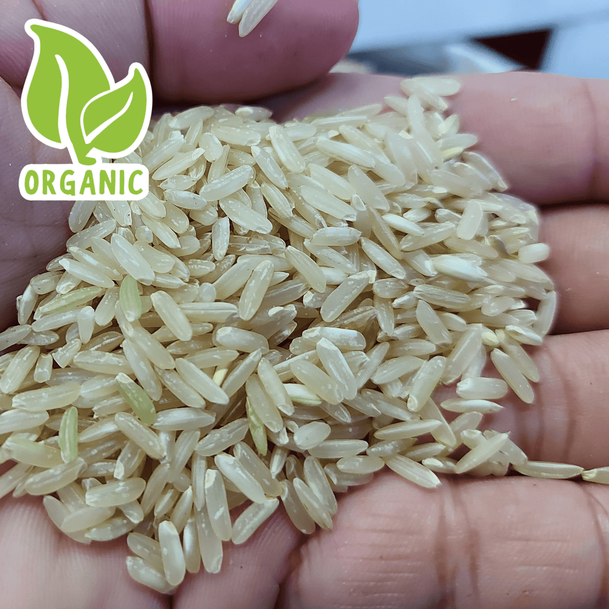 Organic Brown Rice from The Northern province - order price / kilo ...